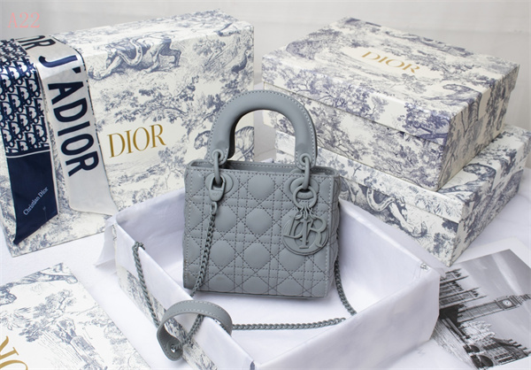 Dior Bags AAA 002